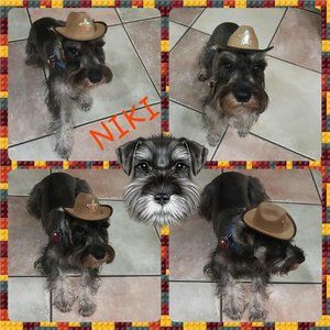 Meet your Posher, Erimar